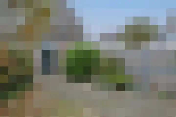 Buitentocht 37 Leiderdorp thumbnail 26