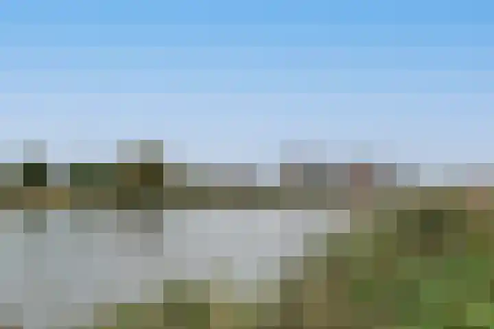 Buitentocht 37 Leiderdorp thumbnail 29