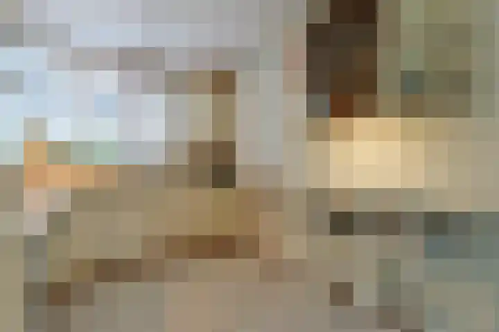 Buitentocht 37 Leiderdorp thumbnail 6