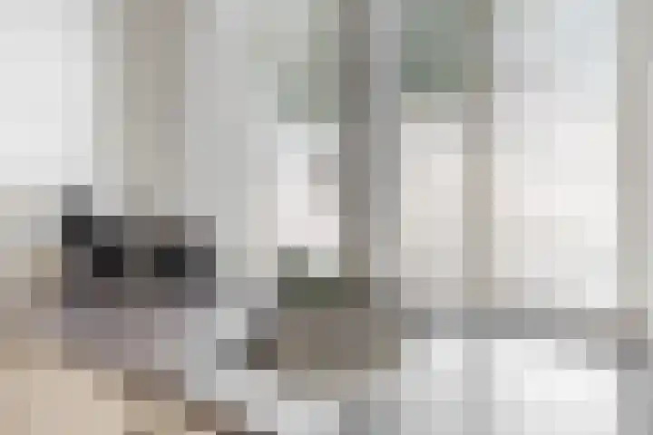 Buitentocht 67 Leiderdorp thumbnail 11