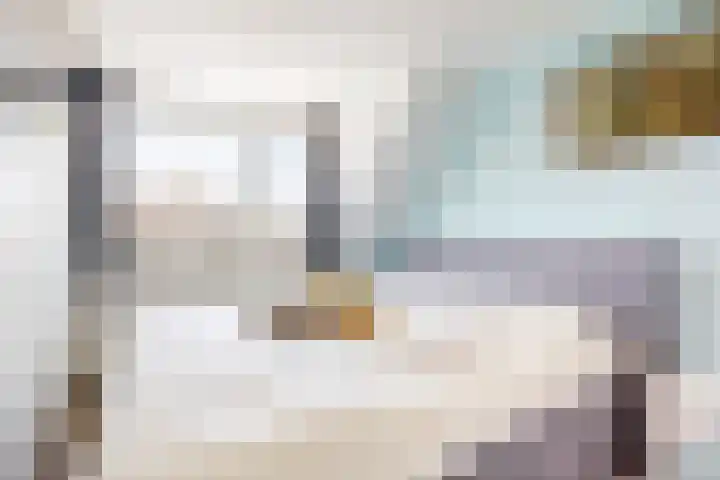 Buitentocht 67 Leiderdorp thumbnail 13