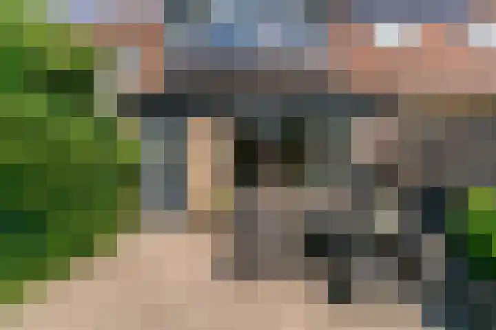 Buitentocht 67 Leiderdorp thumbnail 28