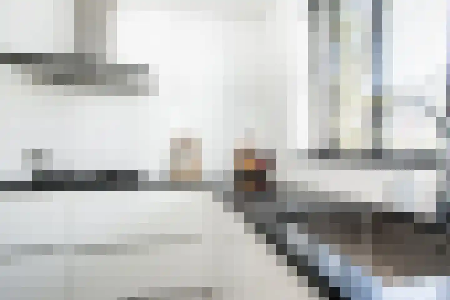 Buitentuin 102 Zaltbommel thumbnail 14