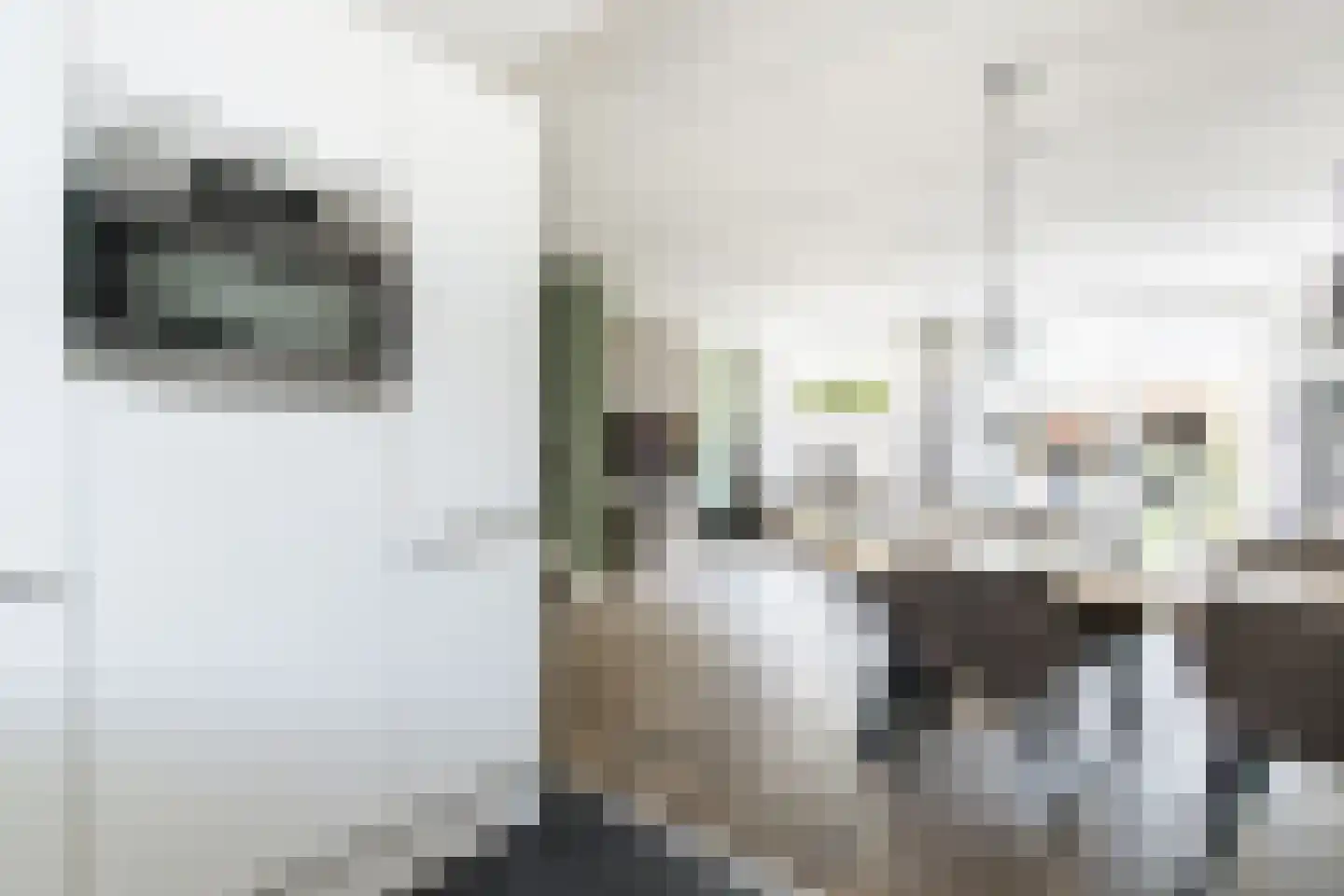 Buitentuin 102 Zaltbommel thumbnail 19