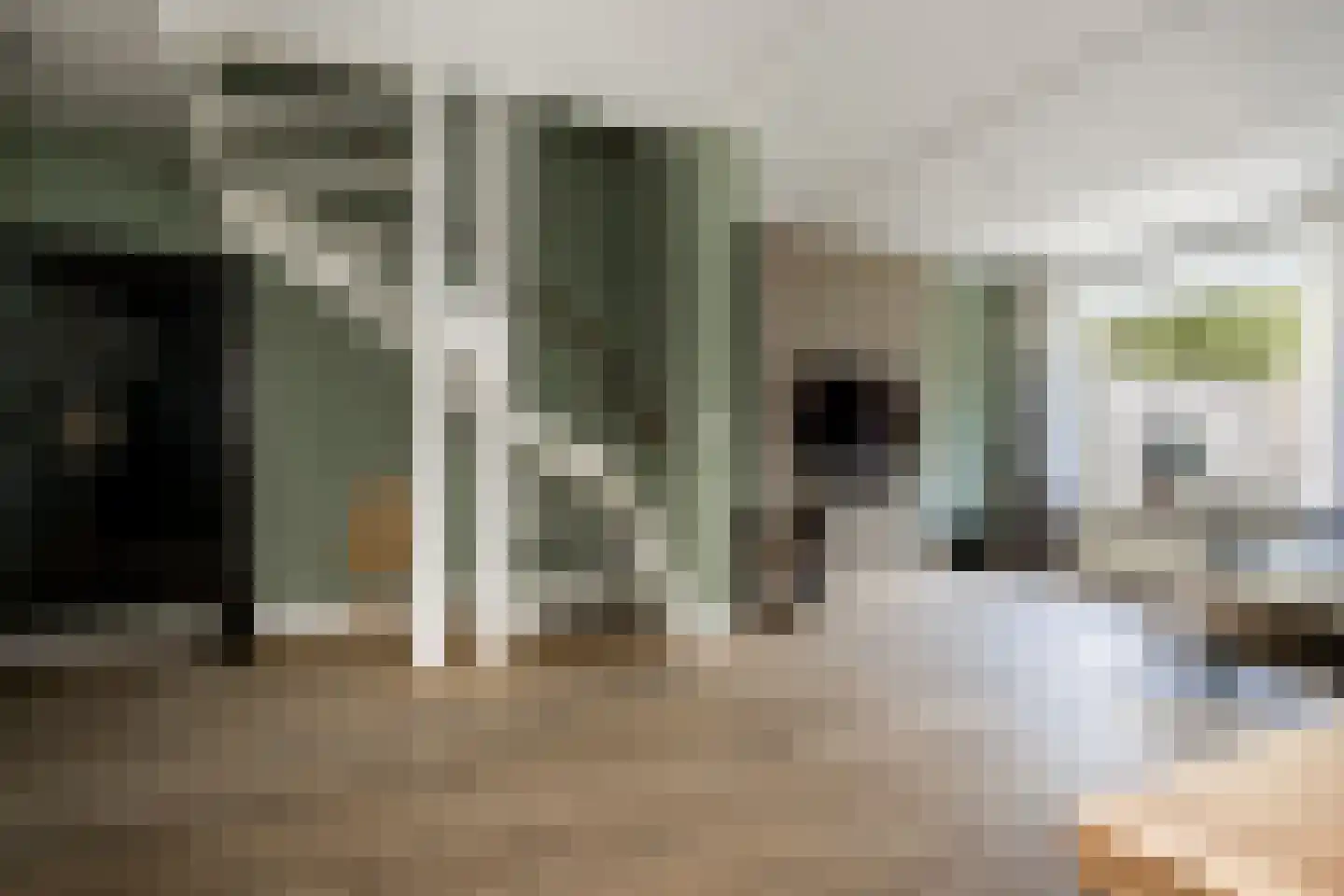 Buitentuin 102 Zaltbommel thumbnail 20