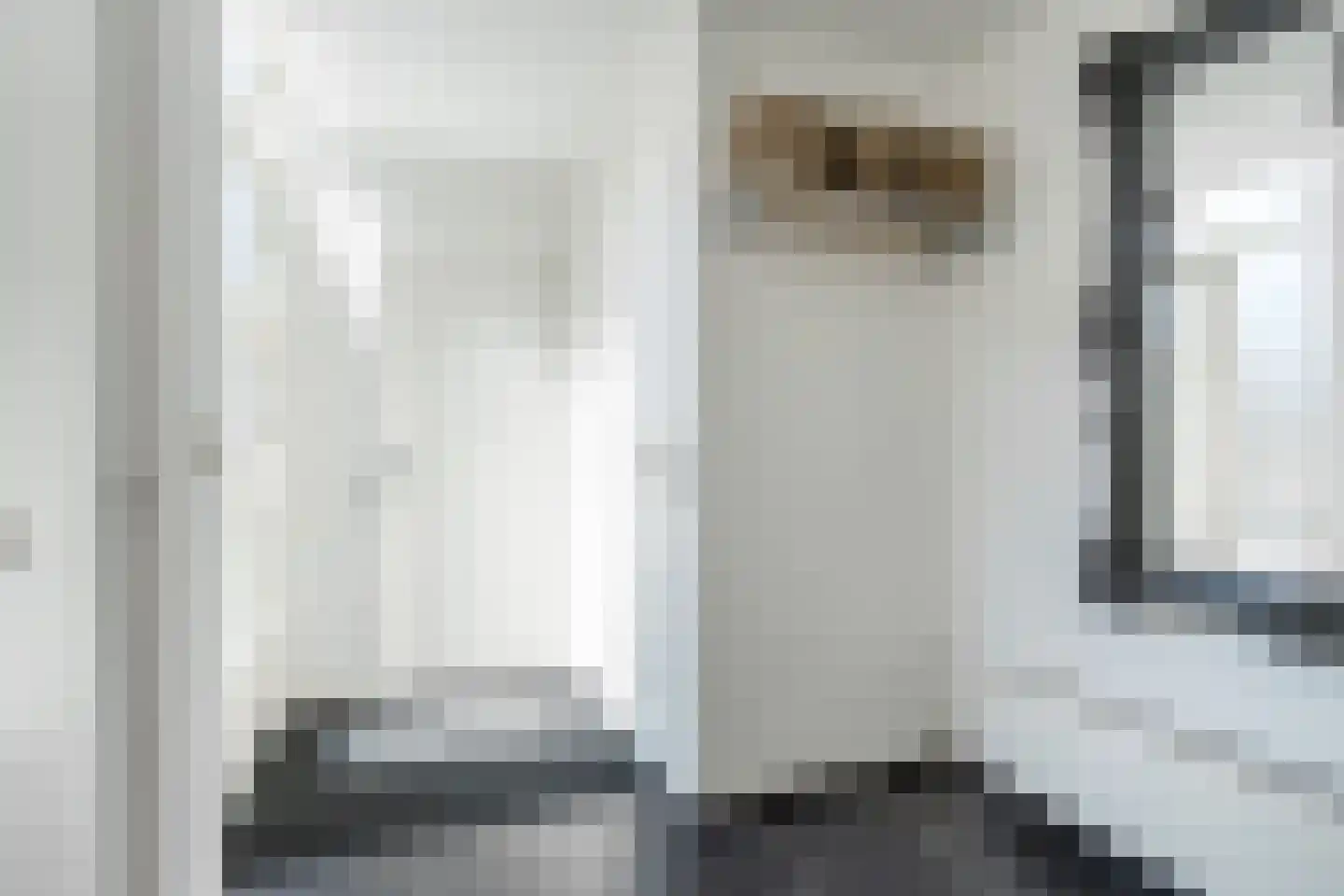 Buitentuin 102 Zaltbommel thumbnail 22