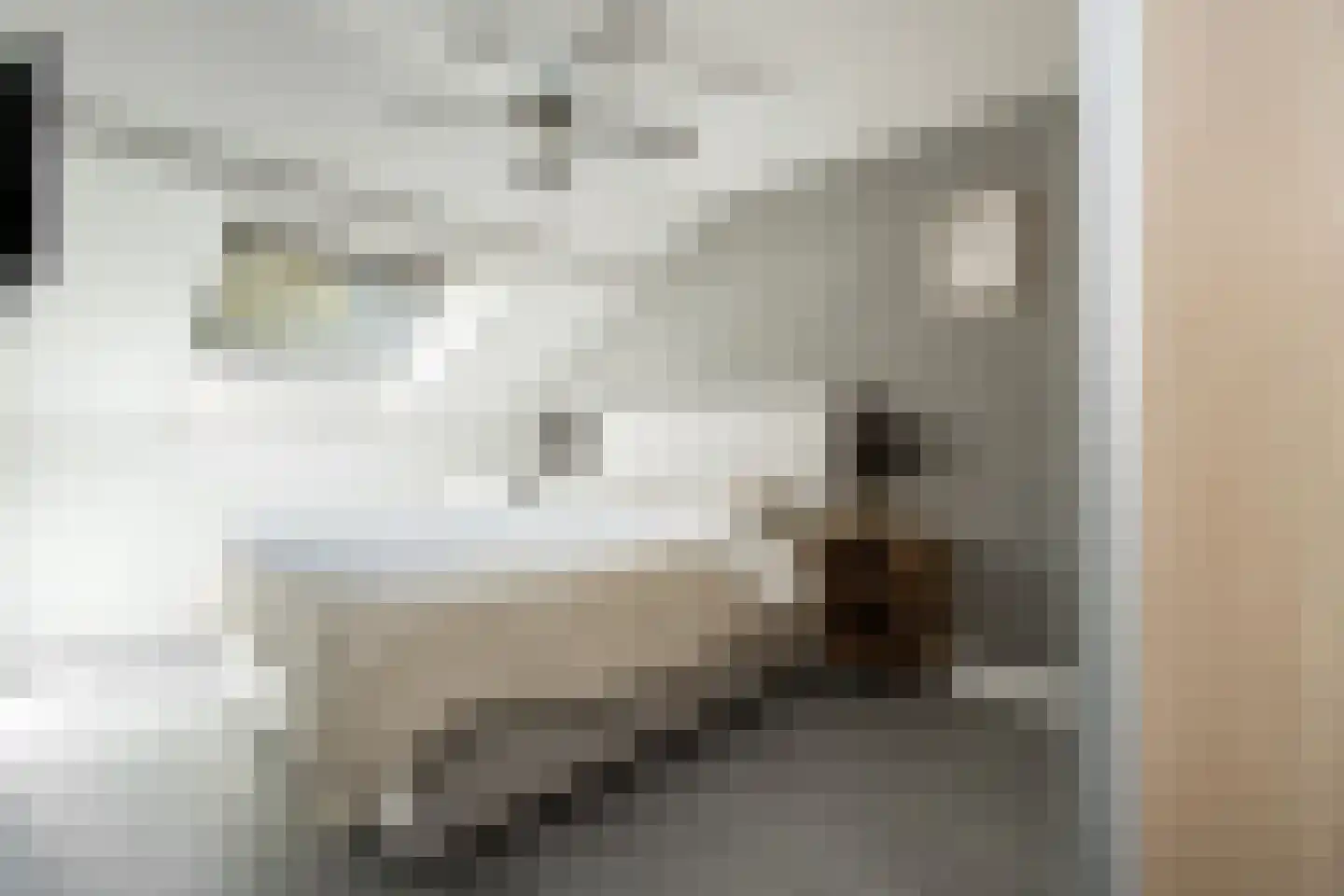 Buitentuin 102 Zaltbommel thumbnail 26