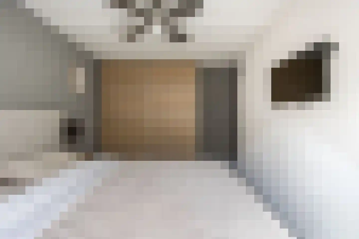 Buitentuin 102 Zaltbommel thumbnail 28