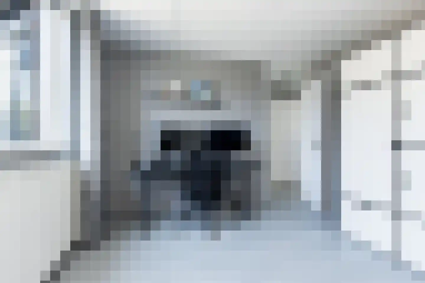Buitentuin 102 Zaltbommel thumbnail 31