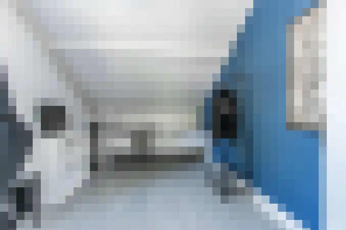 Buitentuin 102 Zaltbommel thumbnail 32