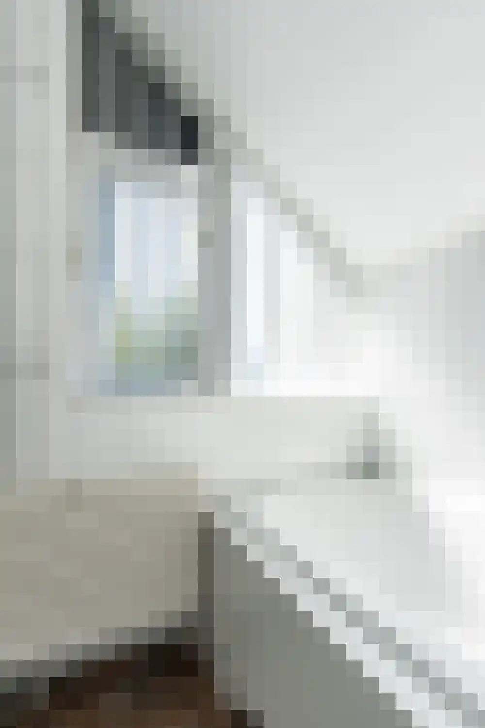Buitentuin 102 Zaltbommel thumbnail 37