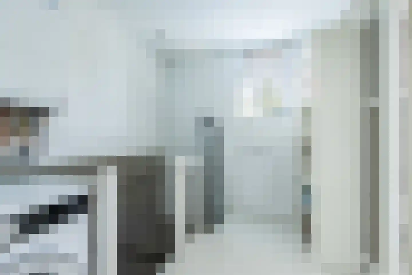 Buitentuin 102 Zaltbommel thumbnail 42