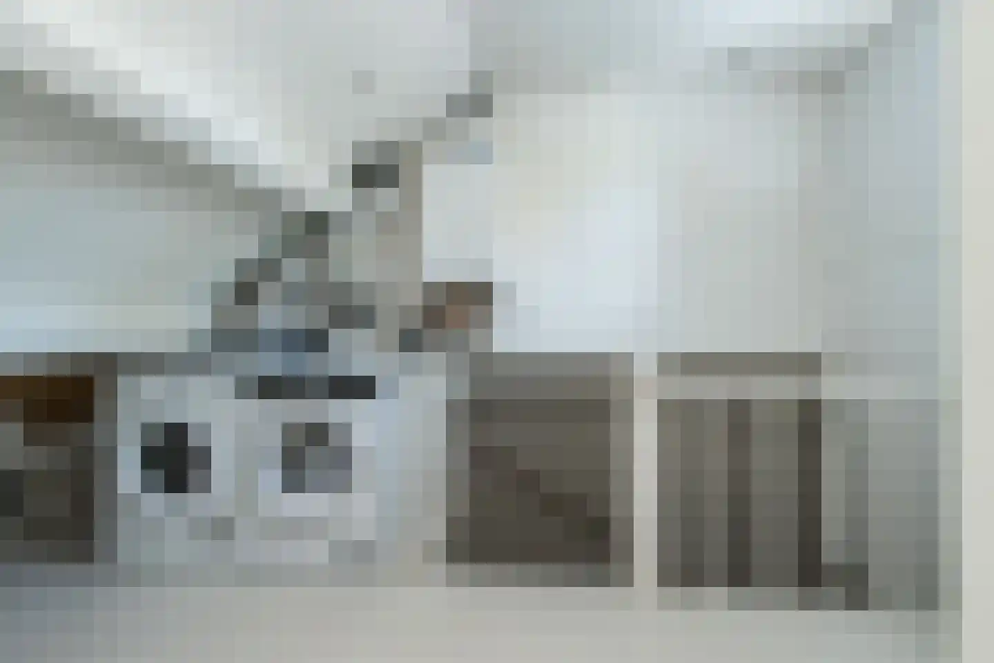 Buitentuin 102 Zaltbommel thumbnail 43