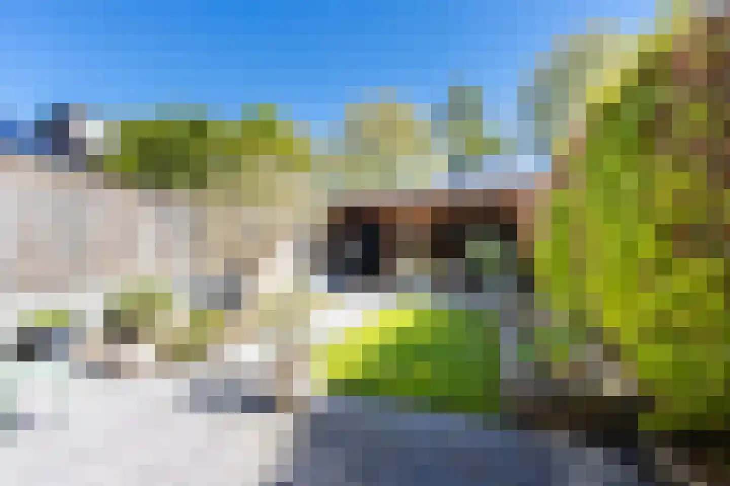 Buitentuin 102 Zaltbommel thumbnail 48