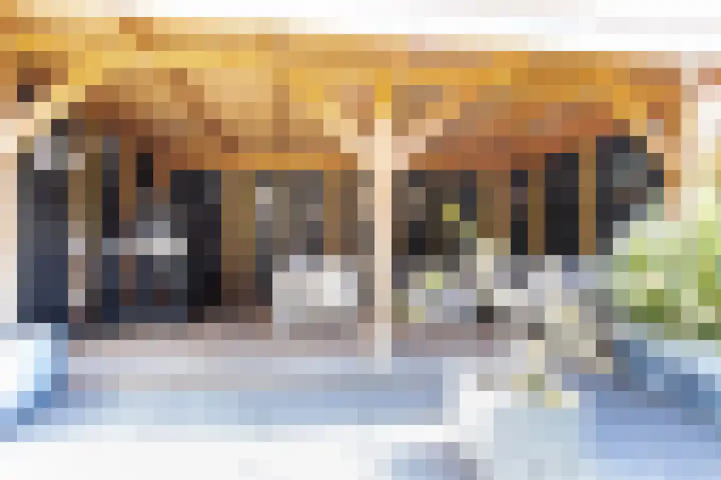 Buitentuin 102 Zaltbommel thumbnail 49