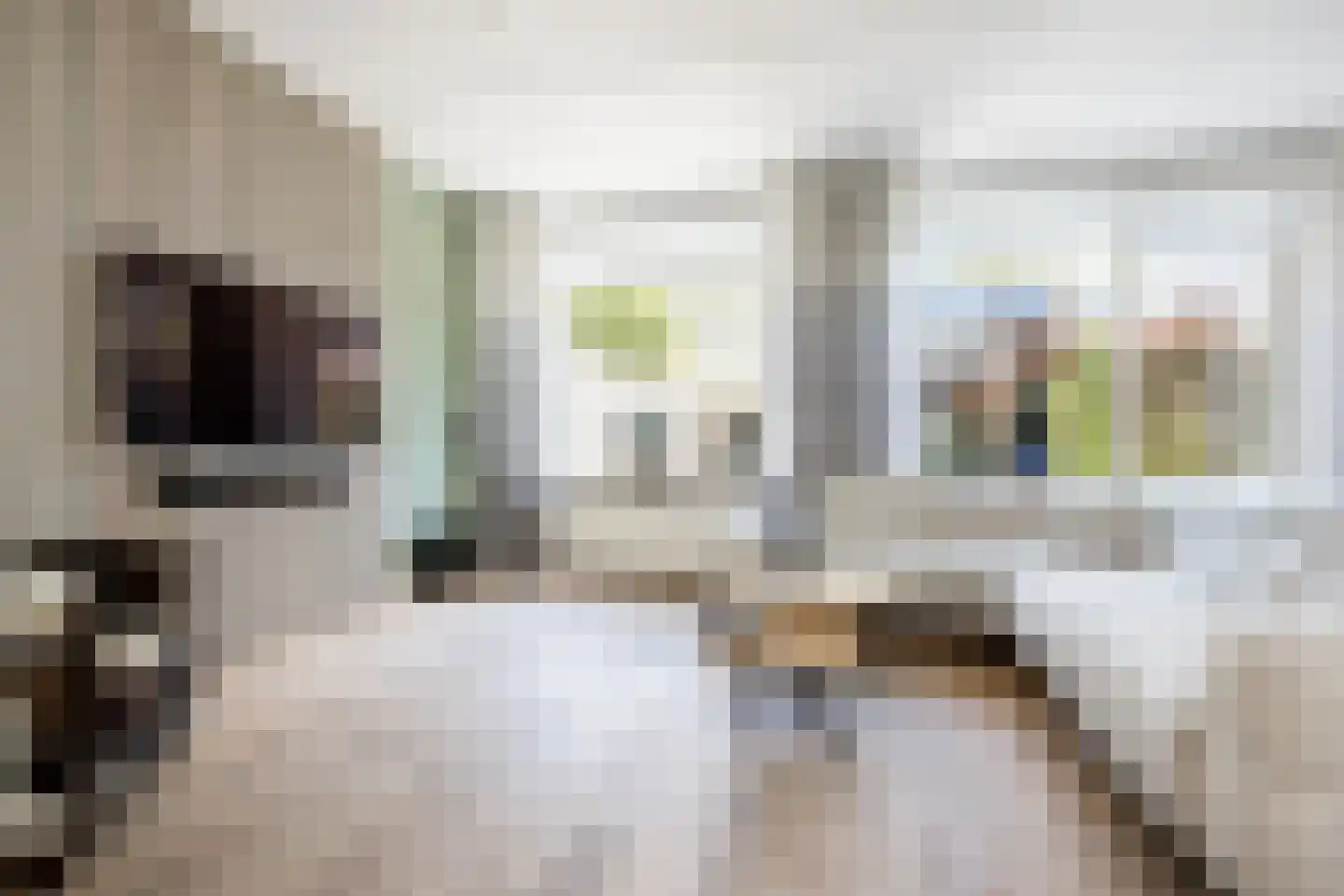 Buitentuin 102 Zaltbommel thumbnail 5