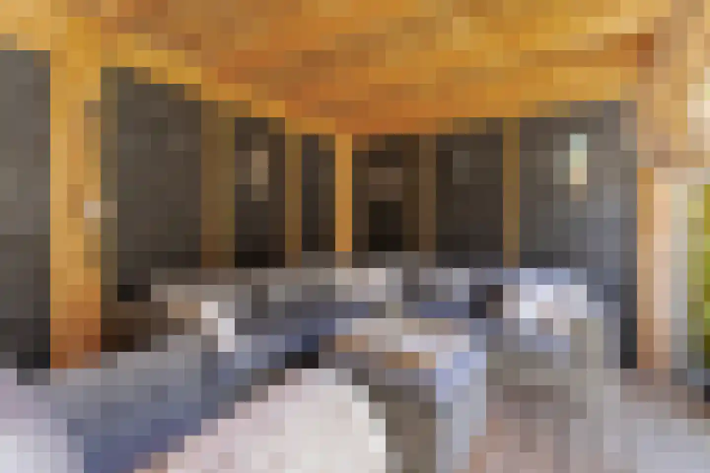 Buitentuin 102 Zaltbommel thumbnail 50