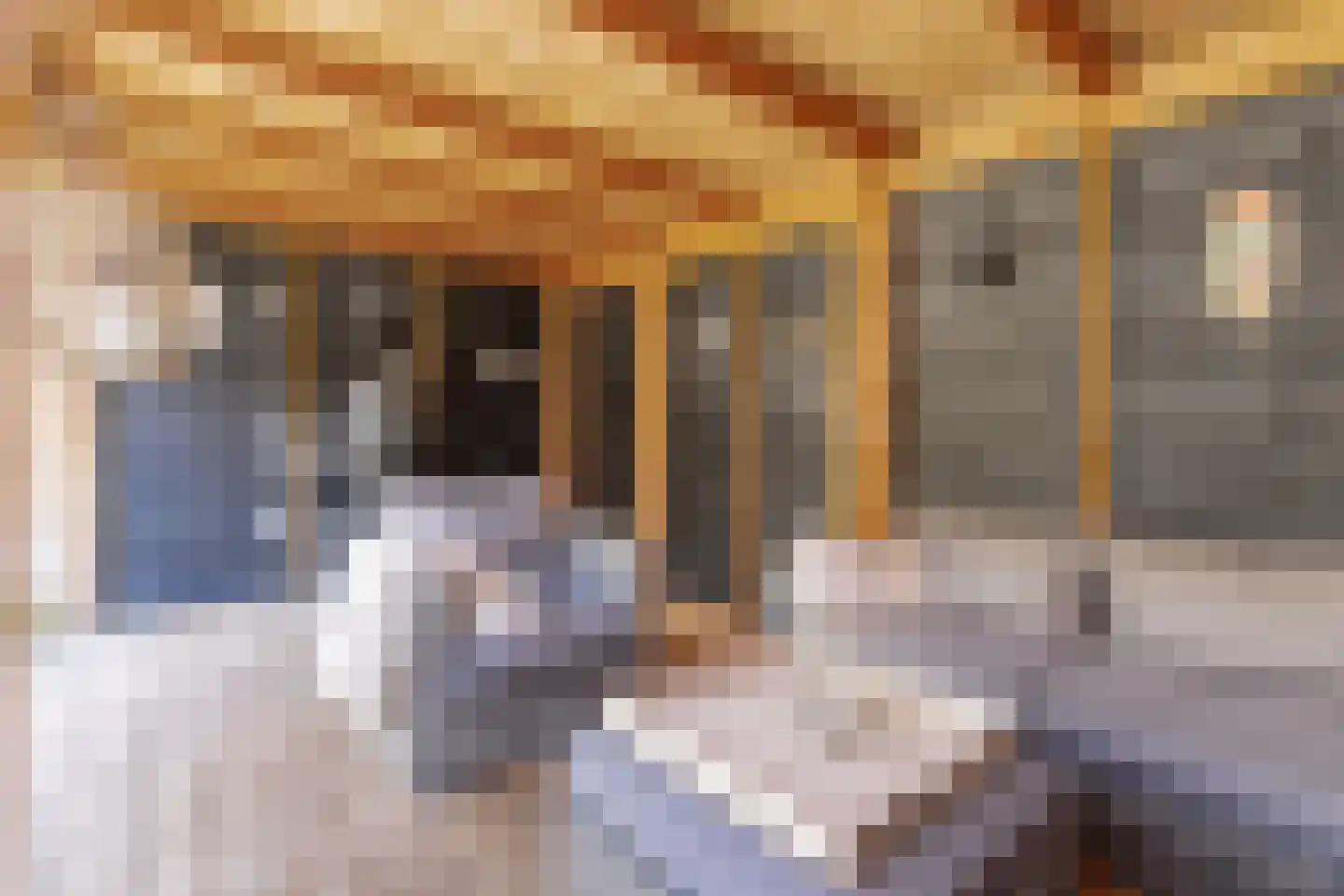 Buitentuin 102 Zaltbommel thumbnail 51