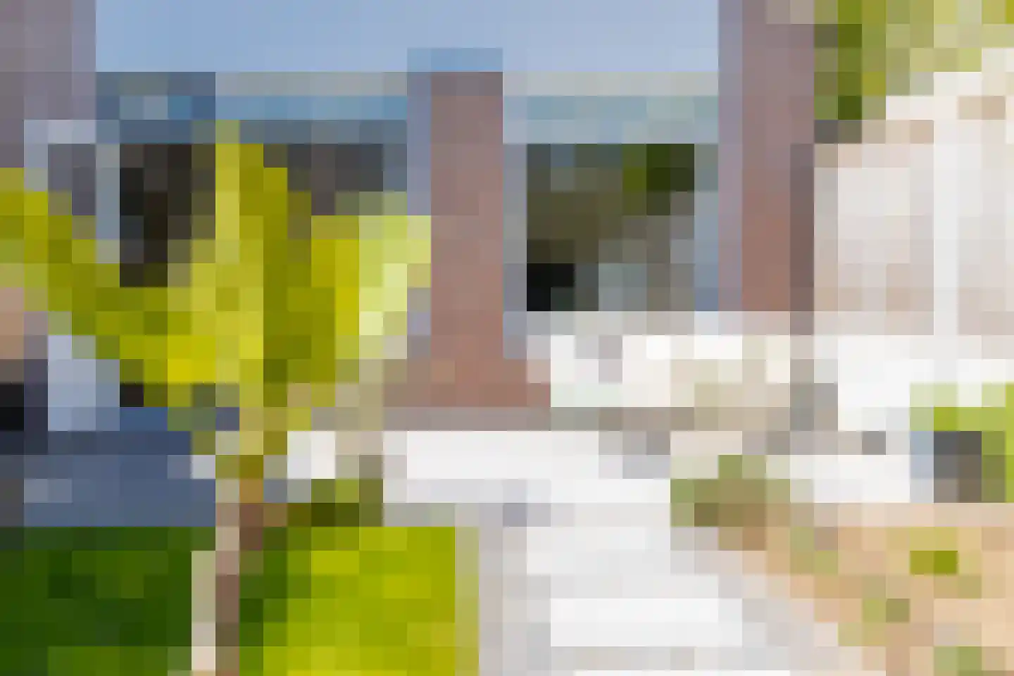 Buitentuin 102 Zaltbommel thumbnail 54