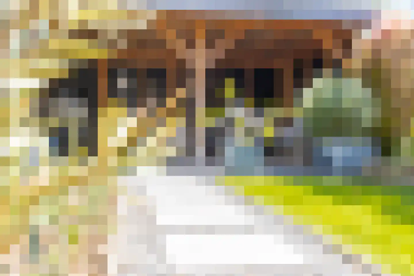 Buitentuin 102 Zaltbommel thumbnail 55