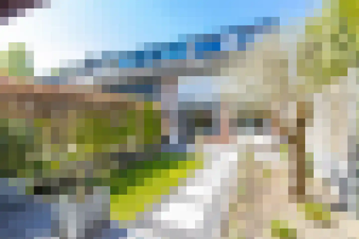 Buitentuin 102 Zaltbommel thumbnail 57
