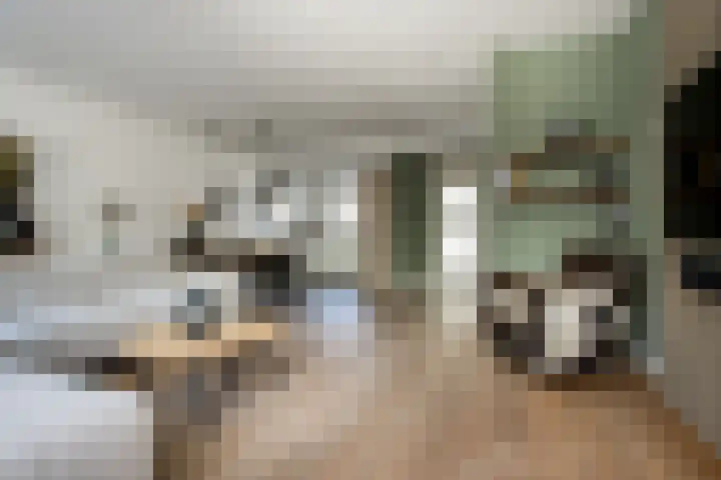 Buitentuin 102 Zaltbommel thumbnail 7