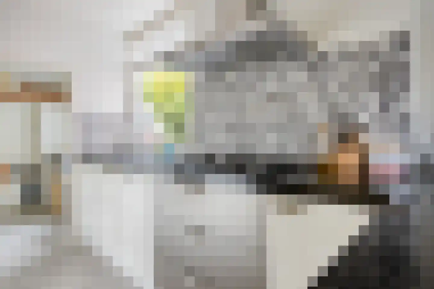 Buitentuin 103 Zaltbommel thumbnail 19
