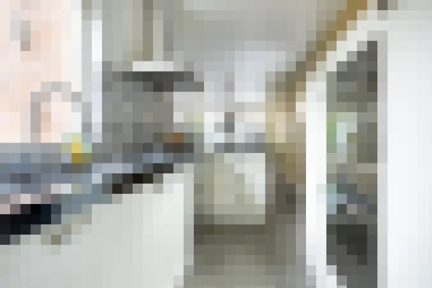Buitentuin 103 Zaltbommel thumbnail 21