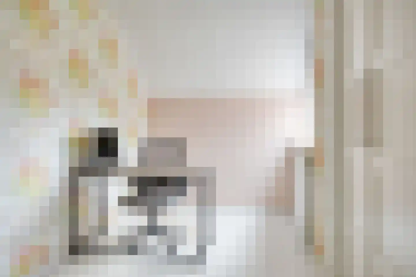 Buitentuin 103 Zaltbommel thumbnail 30