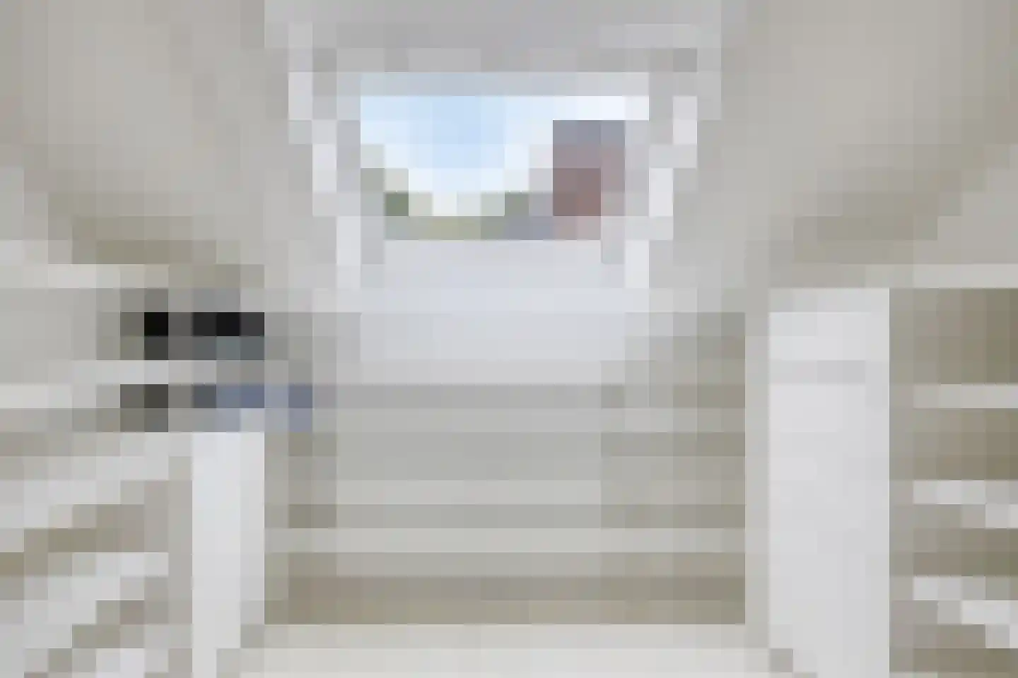 Buitentuin 103 Zaltbommel thumbnail 32