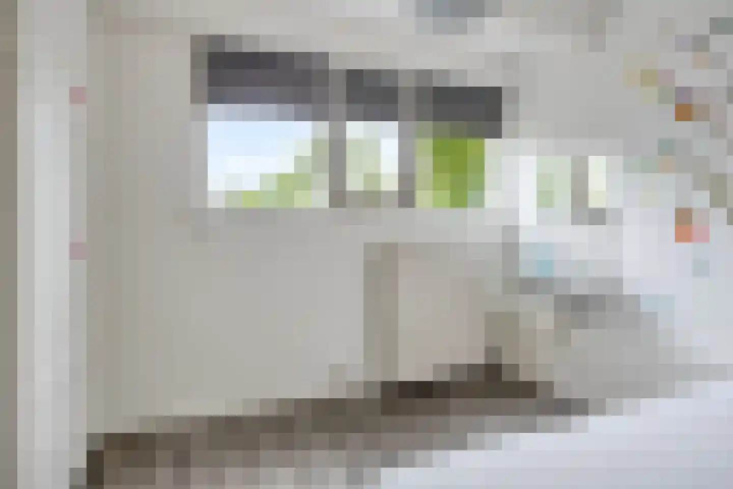 Buitentuin 103 Zaltbommel thumbnail 36