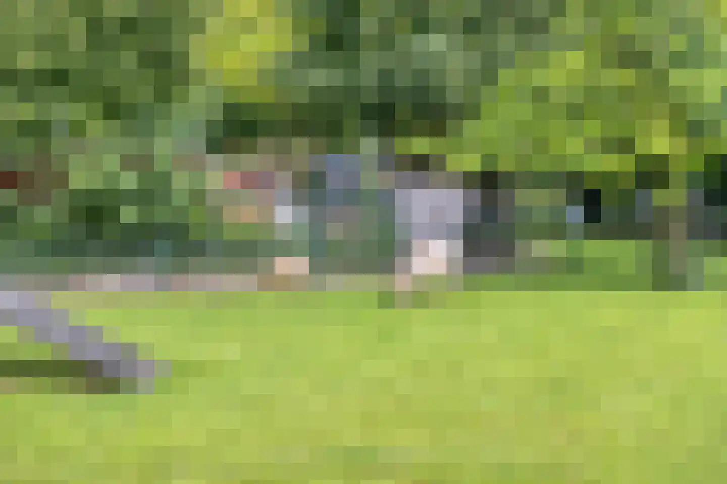 Buitentuin 103 Zaltbommel thumbnail 37