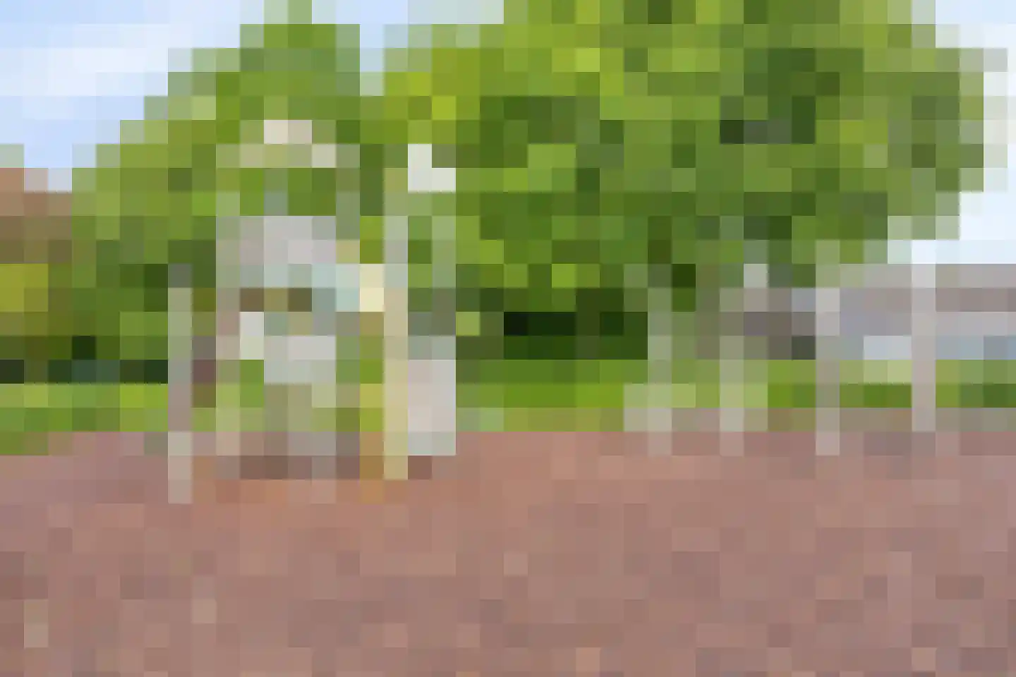 Buitentuin 103 Zaltbommel thumbnail 38
