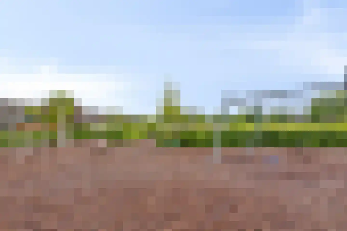 Buitentuin 103 Zaltbommel thumbnail 39