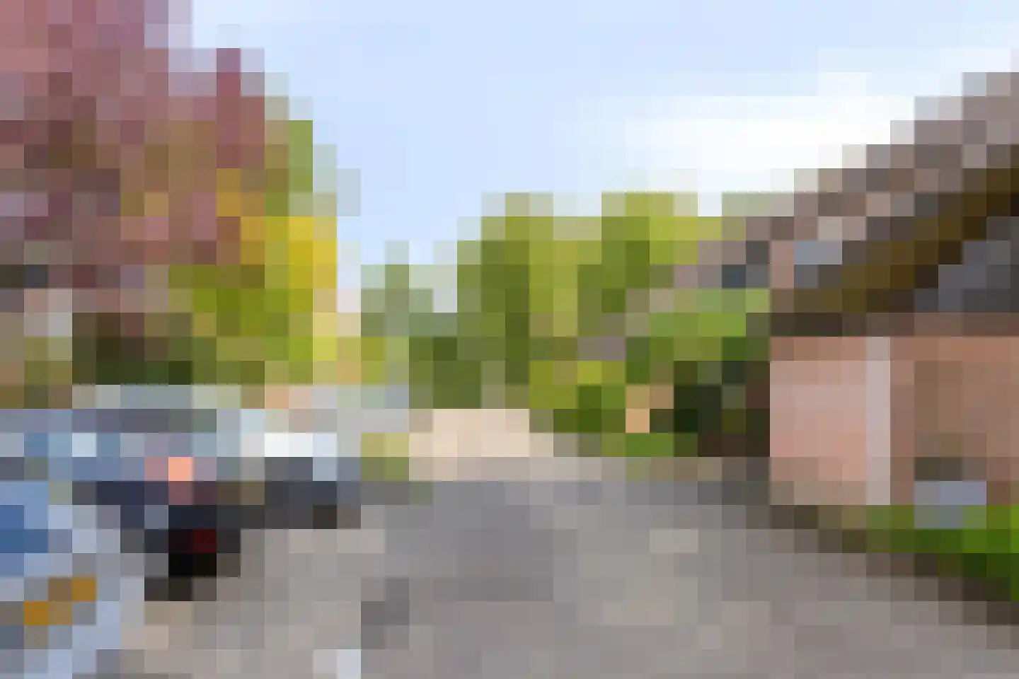Buitentuin 103 Zaltbommel thumbnail 7