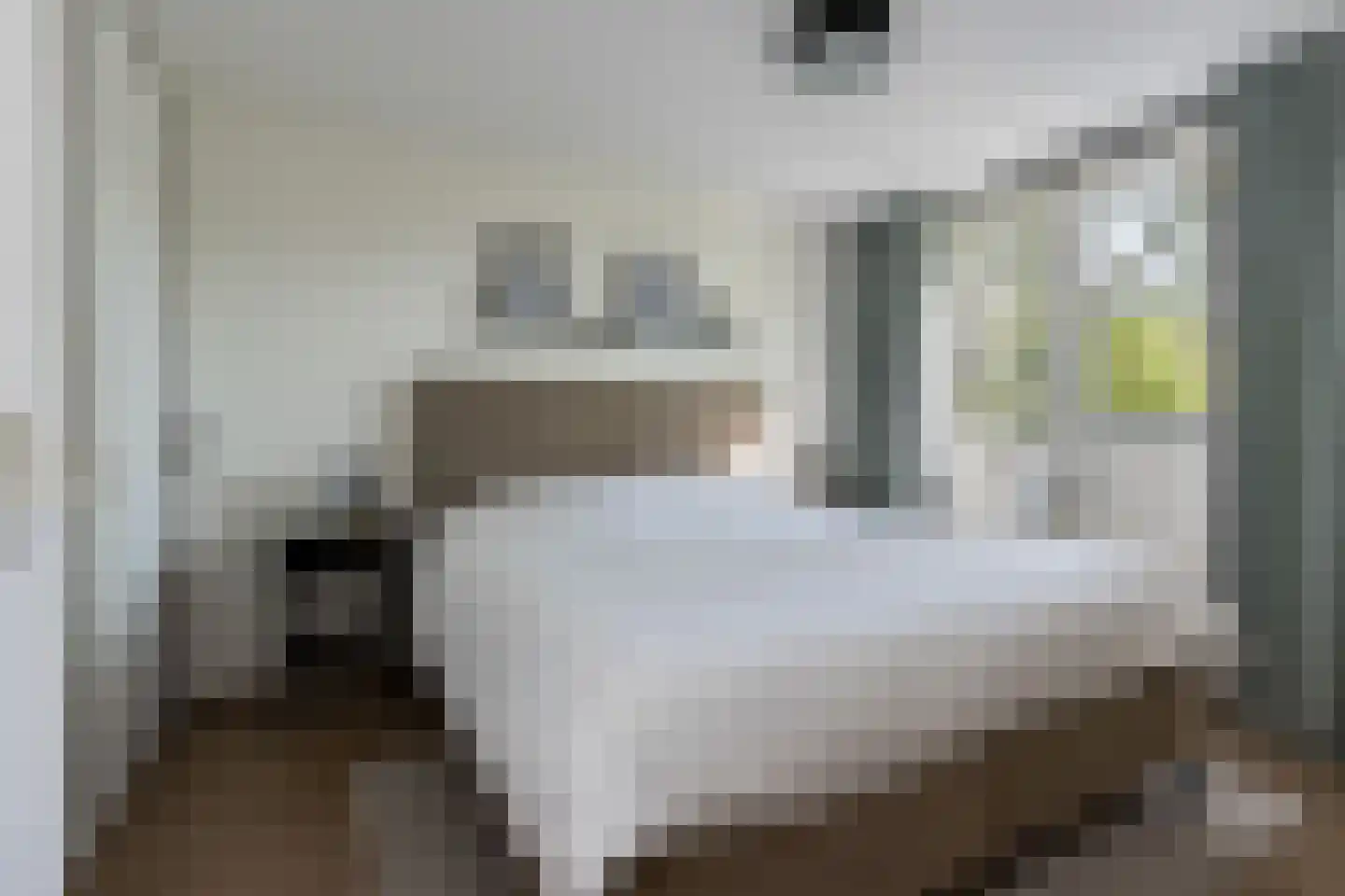 Buitentuin 108 Zaltbommel thumbnail 18