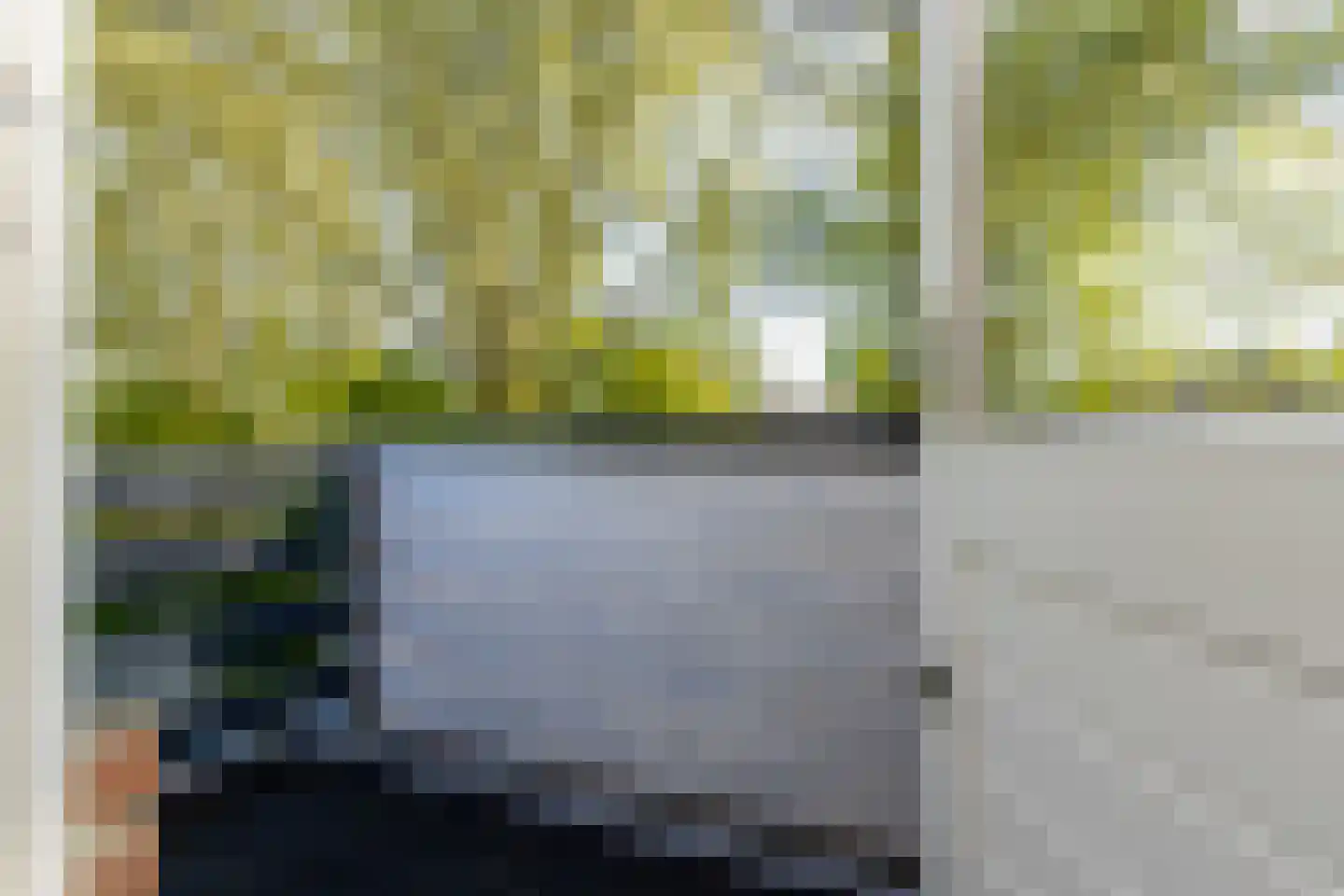 Buitentuin 108 Zaltbommel thumbnail 20