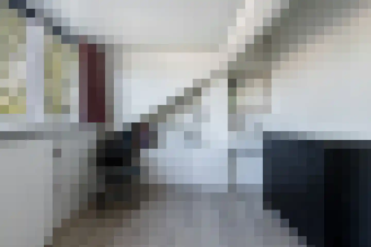 Buitentuin 108 Zaltbommel thumbnail 32