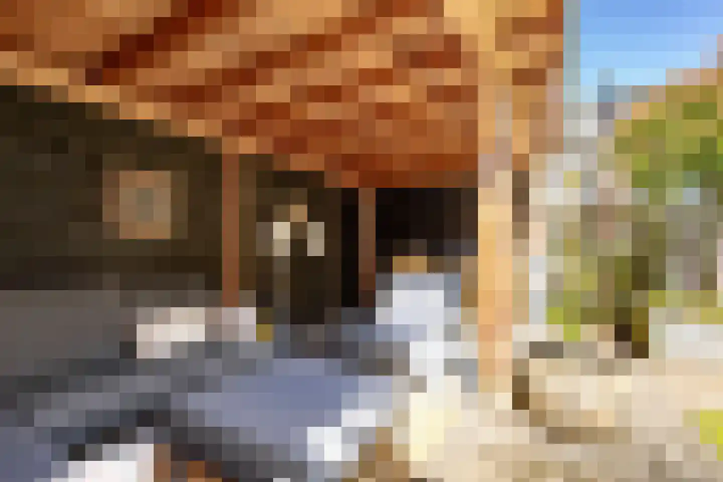 Buitentuin 108 Zaltbommel thumbnail 34