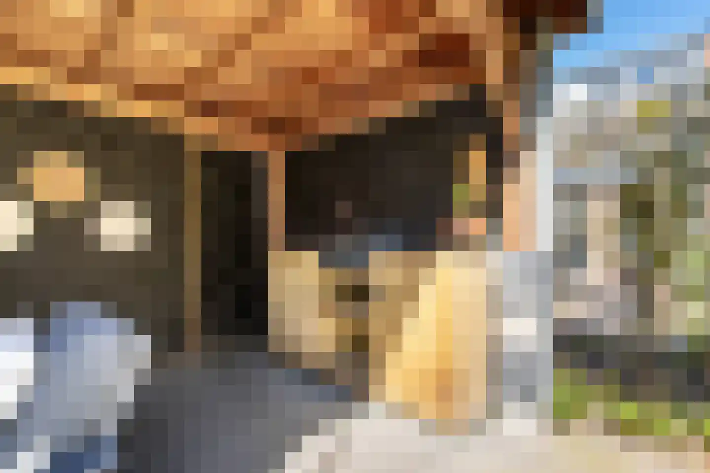 Buitentuin 108 Zaltbommel thumbnail 35