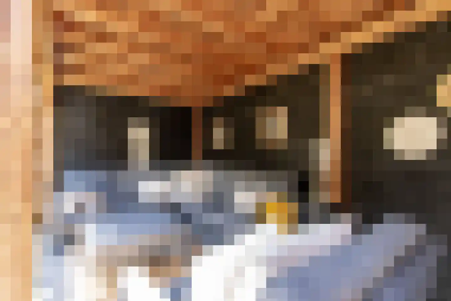Buitentuin 108 Zaltbommel thumbnail 36