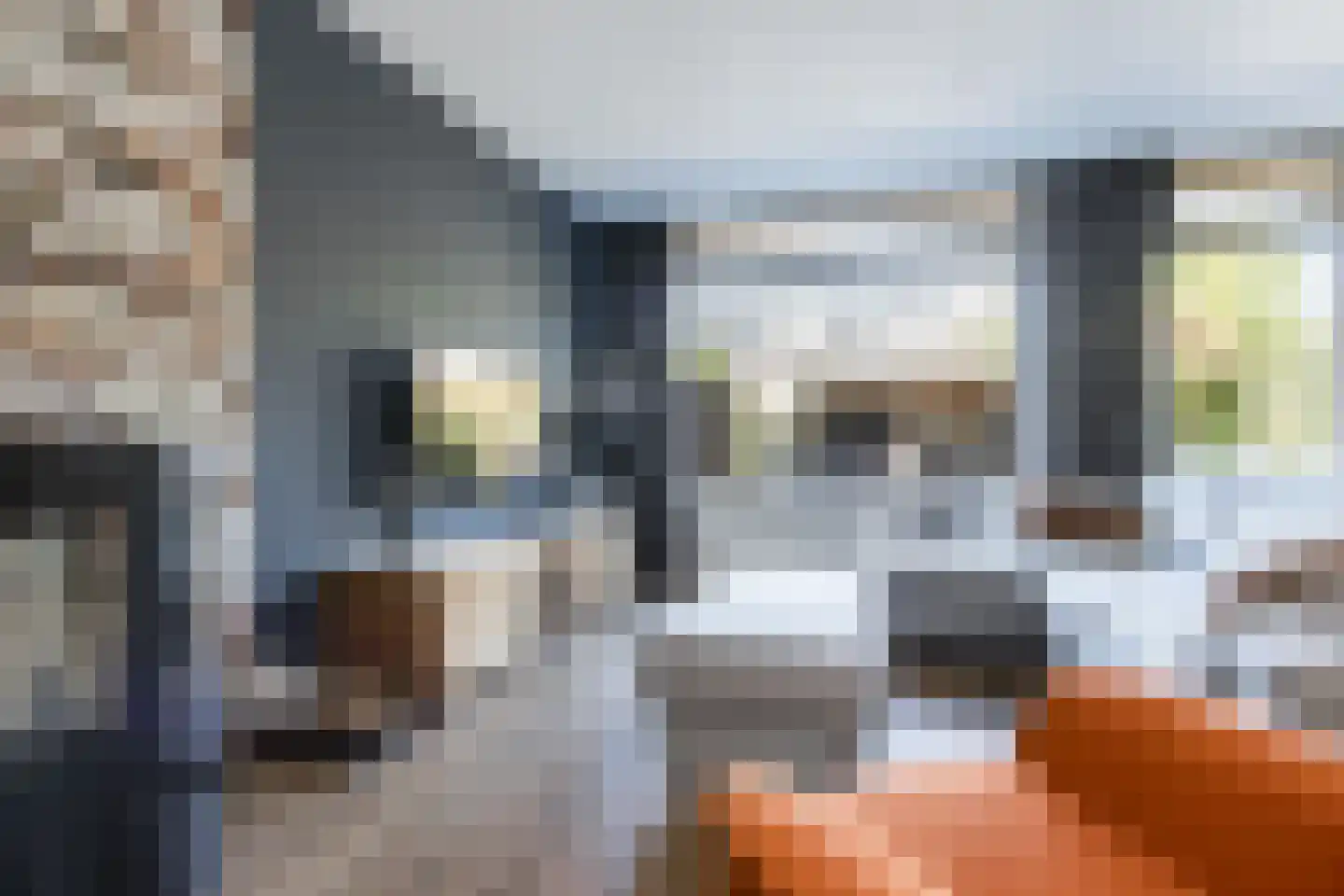 Buitentuin 108 Zaltbommel thumbnail 4