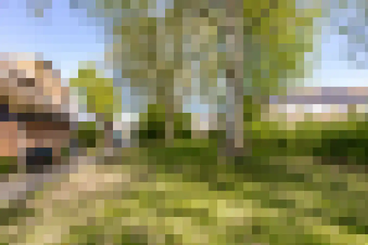 Buitentuin 108 Zaltbommel thumbnail 46