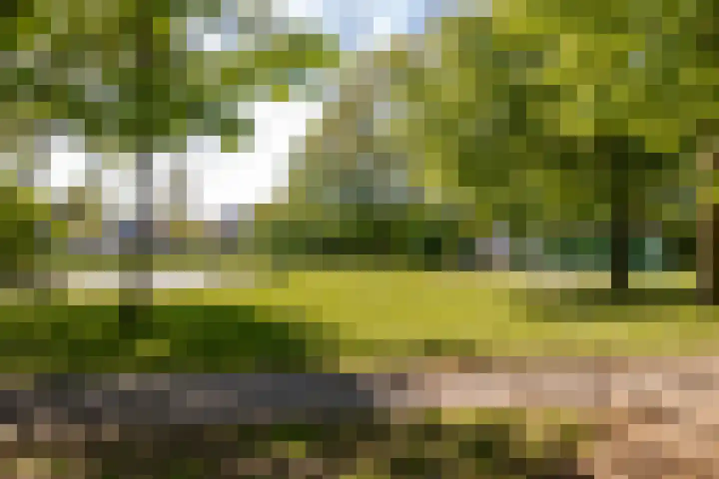 Buitentuin 108 Zaltbommel thumbnail 47