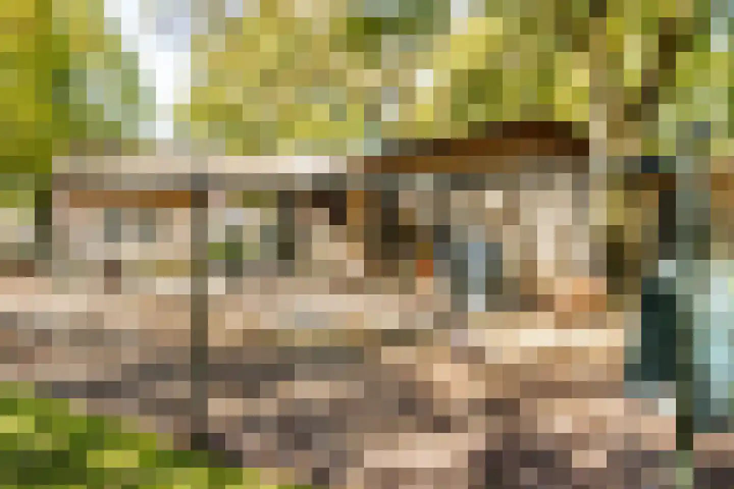 Buitentuin 108 Zaltbommel thumbnail 48