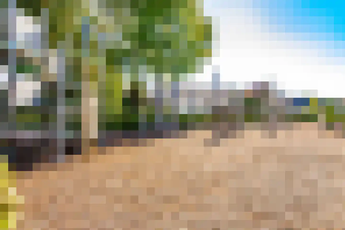 Buitentuin 108 Zaltbommel thumbnail 49