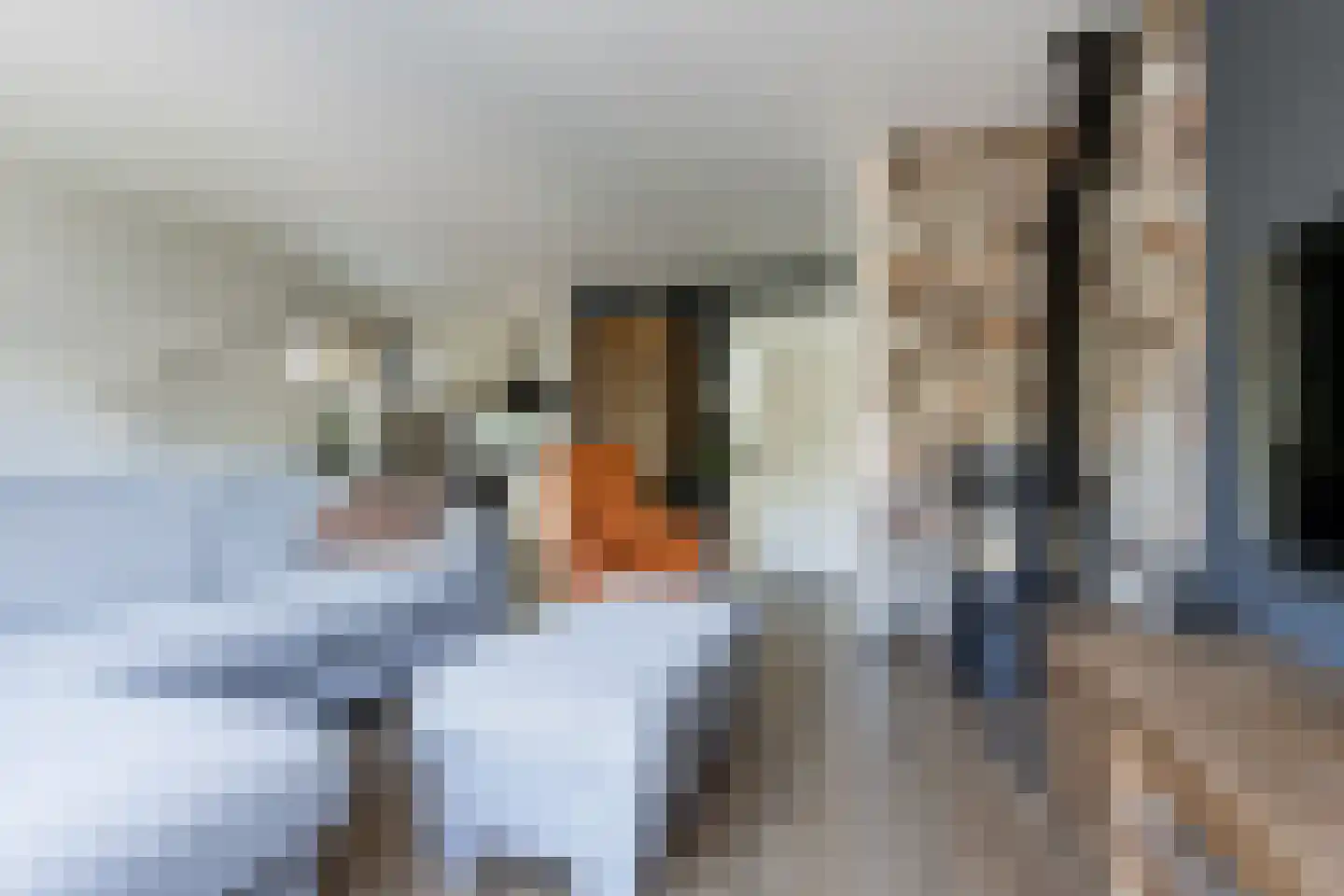 Buitentuin 108 Zaltbommel thumbnail 5
