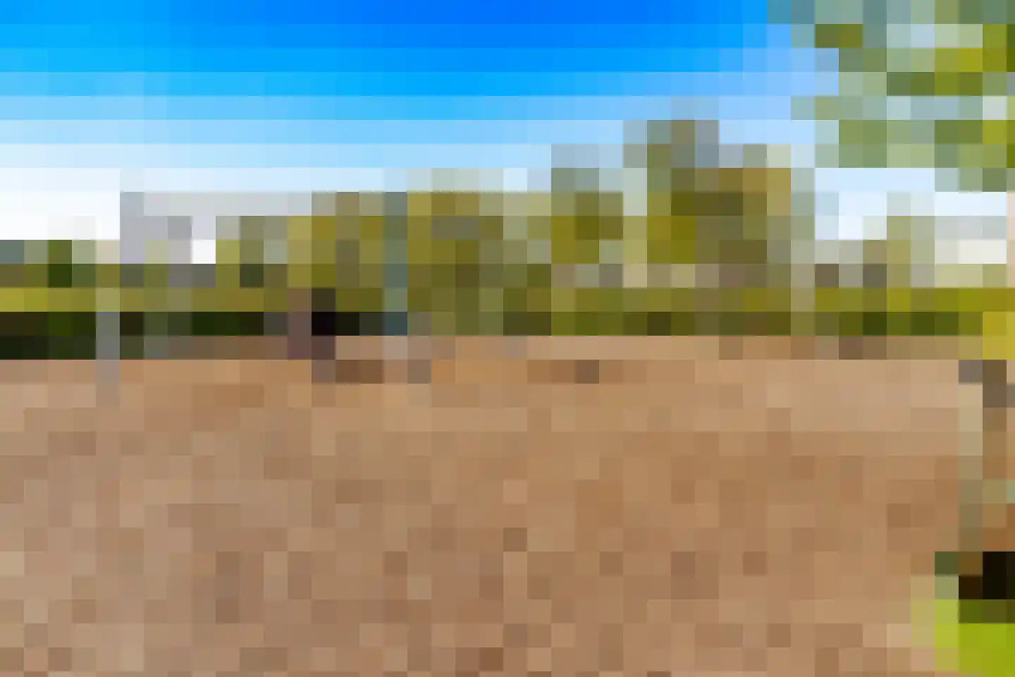 Buitentuin 108 Zaltbommel thumbnail 50