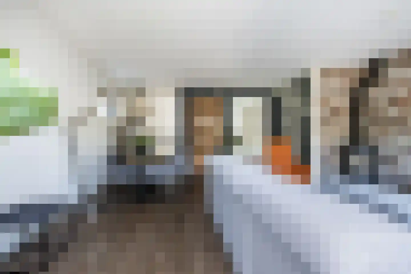 Buitentuin 108 Zaltbommel thumbnail 6