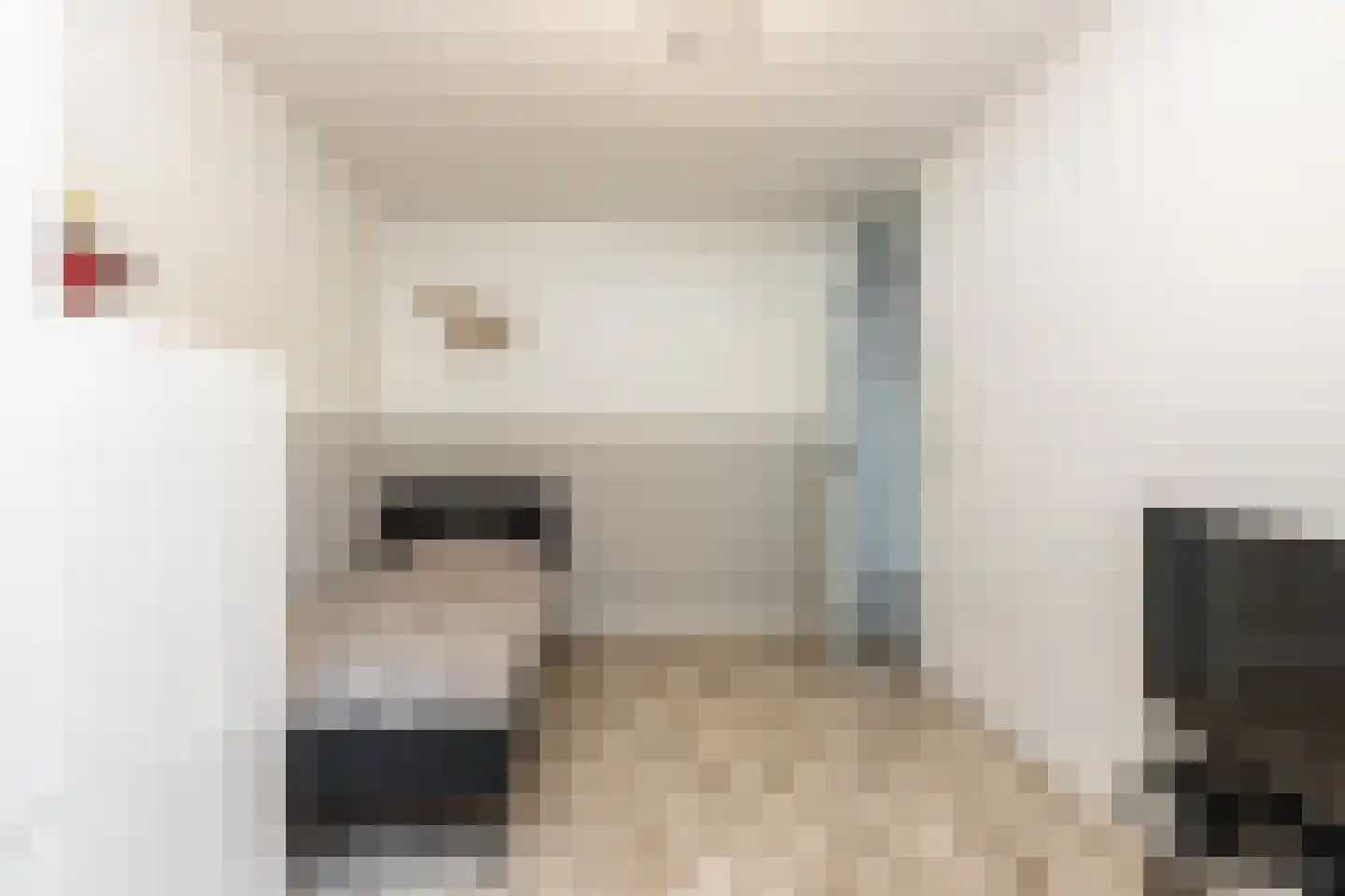 Buitentuin 109 Zaltbommel thumbnail 31